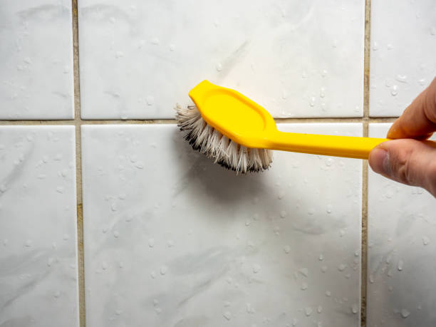 Best Local Mold Removal Service  in Santa Clara, OR