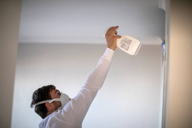 Best Certified Mold Removal  in Santa Clara, OR