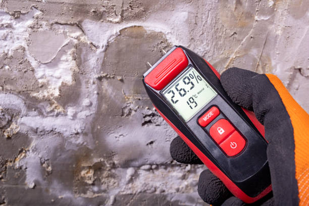 Best Mold Removal Near Me  in Santa Clara, OR