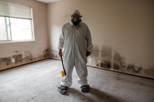 Best Toxic Mold Removal  in Santa Clara, OR